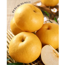 [추석효도선물] 추석에 나주배 선물 어떠신가요?? 나주배 선물세트 5kg 7.5kg, 나주배 5kg 6-7과