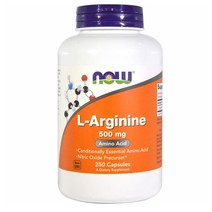 Now Foods L-아르기닌 500mg 250캡슐 2개, 1개, 상세설명참조