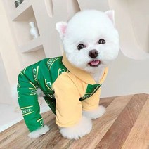 강아지 겨울 옷 티셔츠 애견의류 소형 개와 고양이용 귀여운 잠 부드럽고 통기성 개 액세서리 코트, 13.Chartreuse - M3.25kg