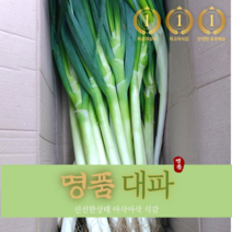 국내산명품 산지직송 진도대파 1kg 손질 깐대파, 2kg, 1개