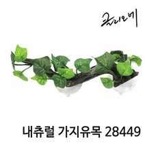 내츄럴 가지유목 28449