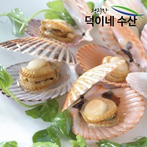 제철통영가리비 추천 인기 판매 TOP 순위