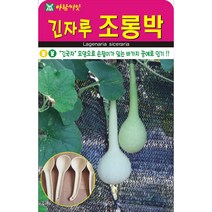 긴국자 모양으로 손잡이가 있는 바가지 공예로 좋은 긴자루 조롱박 씨앗 5립