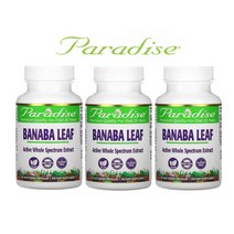 파라다이땡허브 바나바잎 파라다이스허브 banana leaf 고약사 약들약 60베지캡슐 3팩, 60정, 3개