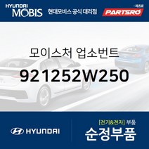 모이스처 업소번트 (921252W250) 현대모비스 부품몰 그랜저IG 쏘나타LF 아반떼 I30 그랜져