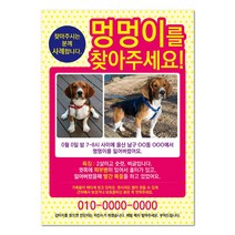 반려견찾기애완실종전단지 고양이 실종 강아지를찾아주세요 디자인무료, 샘플7, 50매