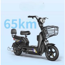 최신 전기스쿠터 순찰 마실 시골 통학 오토바이 48V, 65km 주행 가능 / 도난 방지 경보 탑재