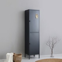 마켓비 KEBIN 캐비넷 2문 락커 4301800, 다크그레이