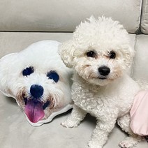 포토쿠션 사진쿠션 강아지 고양이 반려동물 3D 인형 쿠션 주문 제작, 양면