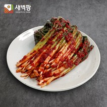 새벽팜 김치 수입 파김치 5Kg 중국산김치 대용량 도매 업소용, 수입 파김치 5kg(종이박스), 1개