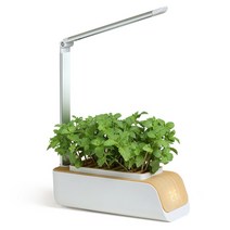 집에서상추키우기 양액기 상추 콩나물 수경 식물 재배기 재배 시스템 smart garden planter 실내 허브 정원 키트 with Grow light for home 실내, 하얀색