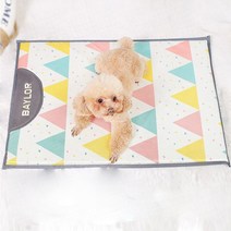 도매창고 애견 쿨매트 아이스 쿨링 애견 시원한 여름용품 쿨시트 매트 방석, 쿨매트-깃발-일반형, S