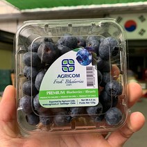 과일특공대 고당도 생 블루베리, 칠레산-1.5kg내외(125g 12팩)