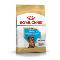 [로얄캐닌] 닥스훈트 퍼피 1.5kg, 상세페이지 참조, 상세페이지 참조, 상세페이지 참조