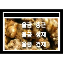 울금종근 10k 울금모종 울금씨앗재배