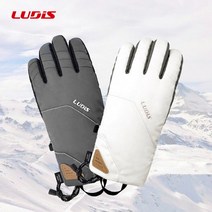 루디스 22/23 스키 스노보드용 오지 장갑 LGM432GA-CO, 선택완료