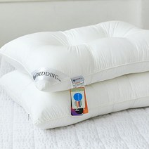 아토앤알로 항균에어로쿨 알러지케어 경추 베개솜 50x70, 선택완료