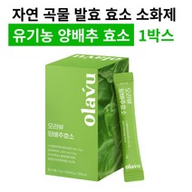 곡물 발효 효소 유기농 양배추 효소 복합 곡물 소화효소제 추천, 양배추효소 1박스