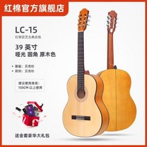익스플로러 펜더 일렉트릭 기타 텔레 캐스터 케이스 키트 커스텀 스트링, 39inch entry LC15