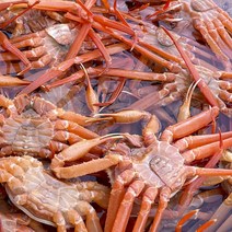 구룡포 홍게 산지직송, 실속형 3kg(수율50~60%)