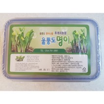 (울릉 현지발송)울릉도 산마늘 장아찌 명이나물 1kg, 1개
