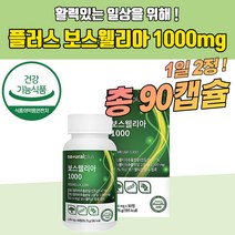 관절연골 인도산 보스웰리아1000 90정 내츄럴플러스 산화마그네슘 산화아연 엔아세틸글루코사민 상어연골분말 녹색입홍합분말 해썹인증 보스벨리아 보수 보스엘리아 40대 50대 60대
