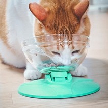 오렌지 고양이 강아지 공용 유리 밥그릇 물그릇 식기, 민트