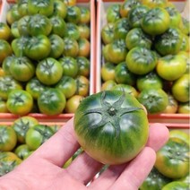 [산지에서바로] 아삭한 대저토마토 짭짤이 정품인증, 품질보증 대저토마토 S 로얄과 2.5kg