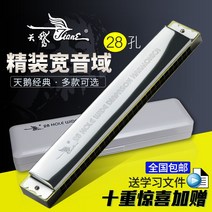 하모니카 백조 28 공C전근이 넓다 음역 중음 복음 완성함 인 초보자 입문 연습 전업 2618965796, 28 공 중음 풀세트 1을 사다 증정