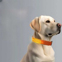 강아지 LED 목걸이 애견 야광 산책 개 라이트 조명, 배터리 모델 녹색 M중형 사이즈