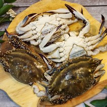 서해안 당일바리 활 알베기 암꽃게 1kg 3-5미 내외, 없음