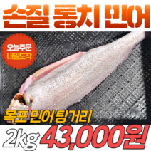 [당일신선생물] 목포 통치 민어 손질 2kg 탕거리 민어탕 민어국 민어지리탕, 1개