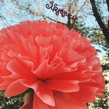 스승의날 자이언트 왕 카네이션 만들기 재료 대왕 점보 대형 어버이날 선물 레드 토퍼미포함