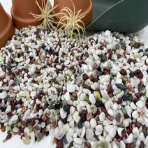 오색사 오색자갈 테라리움 바닥재, 500g, 5~8mm