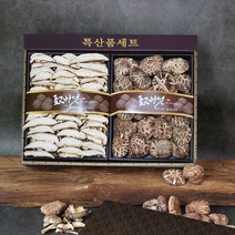 영동 표고버섯선물세트 표고세트250g, 단품