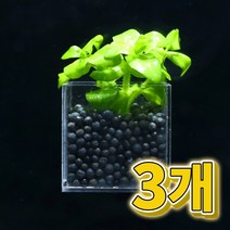 어항수초 컨테이너 로탈라 그린 세트 3개, 단품