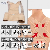 [월드온] 자세교정 밴드 척추 어깨 볼륨 바스트 업 뽕 보정 교정 용품 관리, 베이지_M(70-80)