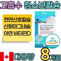 천연원료 산호 칼슘 대용량 흡수력 에좋은 청소년 마그네슘 비타민 D 디 아연 영양제 해조 10대 십대 뼈 치아 신경 근육 면역 건강식품 어린이 여자 남자 중학생 고등학생 추천 성장, 2박스(8개월)