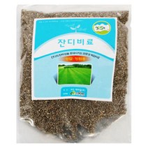 정원 묘지 잔디비료 잔디전용 인산칼슘 잔듸 비료 *&^%3153823EA, 본상품선택