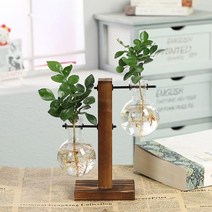 테라리움 수경 식물 꽃병 빈티지 냄비 투명 나무 프레임 액자 유리 유리창 창문 탁상 가, DoubleBottle