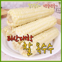 [개미네] 괴산 대학찰옥수수 30개(3개씩포장), 상세 설명 참조, 상세 설명 참조