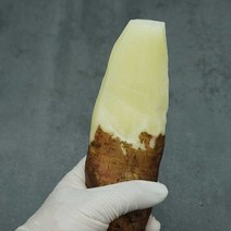 무주 햇 야콘 특상 즙용 생육 특품 못난이 5kg 10kg, 가정용 상품 야콘 5kg - 갈라짐 있음