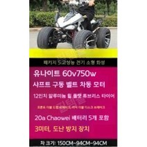 농업용 사발이 버기카 4륜 사륜 오토바이 바이크 4발, 전기모델패키지5