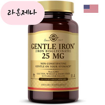 홈쇼핑 솔가 철분제 Solgar Gentle Iron 식물성 캡슐X180, 1개, 180개