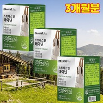휴대용 Stress 스트레스 테아닌 60정, 3개(3개월분)