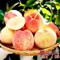 고당도 프리미엄 공주 아산 복숭아 백도 황도 말랑이 4.5kg 선물용 정품 제철과일 오늘출발, 황도말랑이, 4.5kg(12-14과)