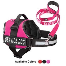 Industrial Puppy Service Dog Vest with Hook and Loop Straps Matching Service Dog Leash Set - Harnes, 1