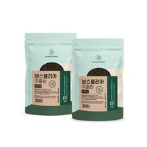 보스웰리아추출환 유향 보스웰릭산 유항 인도산 보스웰리아 추출물 분말 보스웰리아정 보수엘리아 보스웰니아 보스윌리아 보스월리아 보수웰리아 보스엘리아 2팩