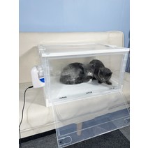 접이식 고양이 산소방 아크릴 반려동물 네블라이저방, 소형 5파운드