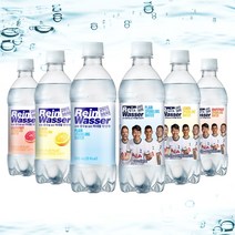 라인바싸 플레인 탄산수, 500ml, 60개